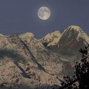 free性侏儒videos呻吟
